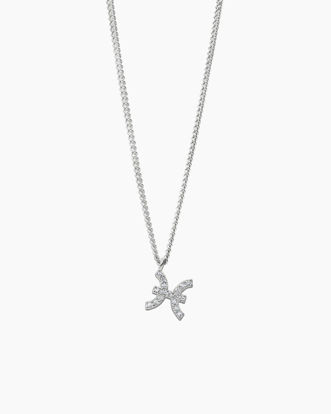Zodiac Necklace Silver Taurus